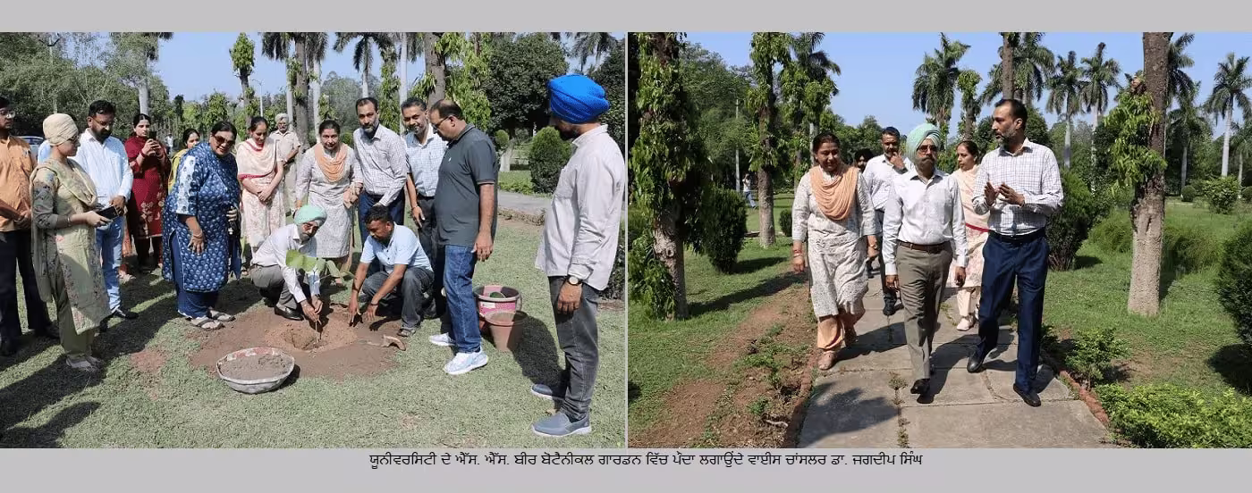 Punjabi Univesity Patiala